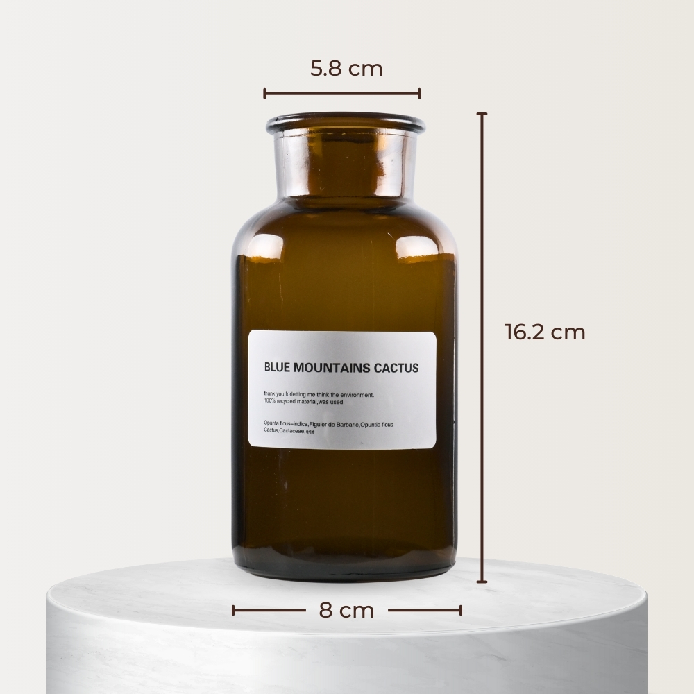 Gambar produk DDSSTORE Vas Bunga Botol Kaca Aesthetic Bottle Vases Flower Pot 500ml - EN549
