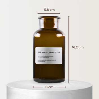 Gambar produk DDSSTORE Vas Bunga Botol Kaca Aesthetic Bottle Vases Flower Pot 500ml - EN549