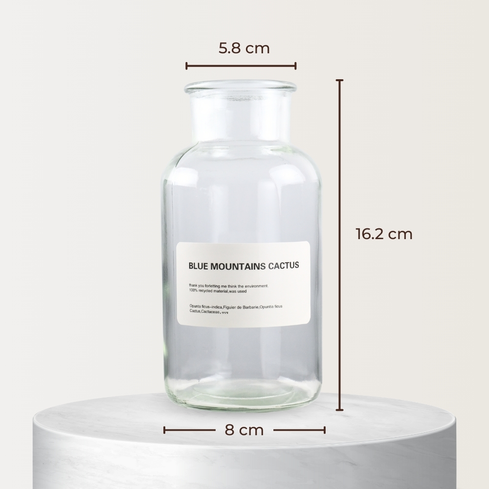 Gambar produk DDSSTORE Vas Bunga Botol Kaca Aesthetic Bottle Vases Flower Pot 500ml - EN549