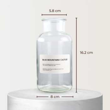 Gambar produk DDSSTORE Vas Bunga Botol Kaca Aesthetic Bottle Vases Flower Pot 500ml - EN549