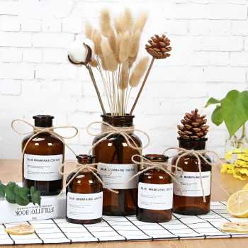 Gambar produk DDSSTORE Vas Bunga Botol Kaca Aesthetic Bottle Vases Flower Pot 500ml - EN549