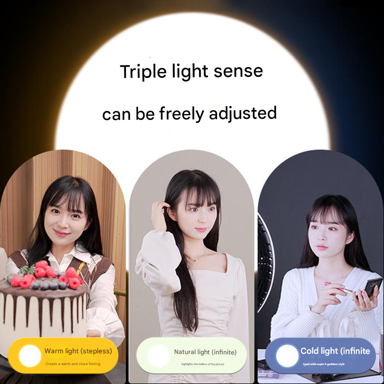 Gambar produk BEDIRO Lampu LED Studio Fill Light Dimmable 3in1 Softbox and Tripod - BD400-SS