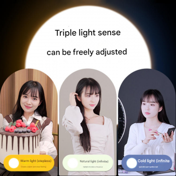 Gambar produk BEDIRO Lampu LED Studio Fill Light Dimmable 3in1 Softbox and Tripod - BD400-SS