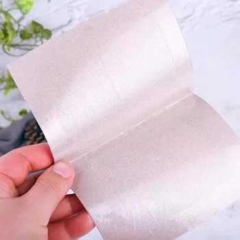 Gambar produk TRAPSI Perangkap Lem Lalat Kertas Fly Sticker Trap 15x25cm 10 PCS - T10