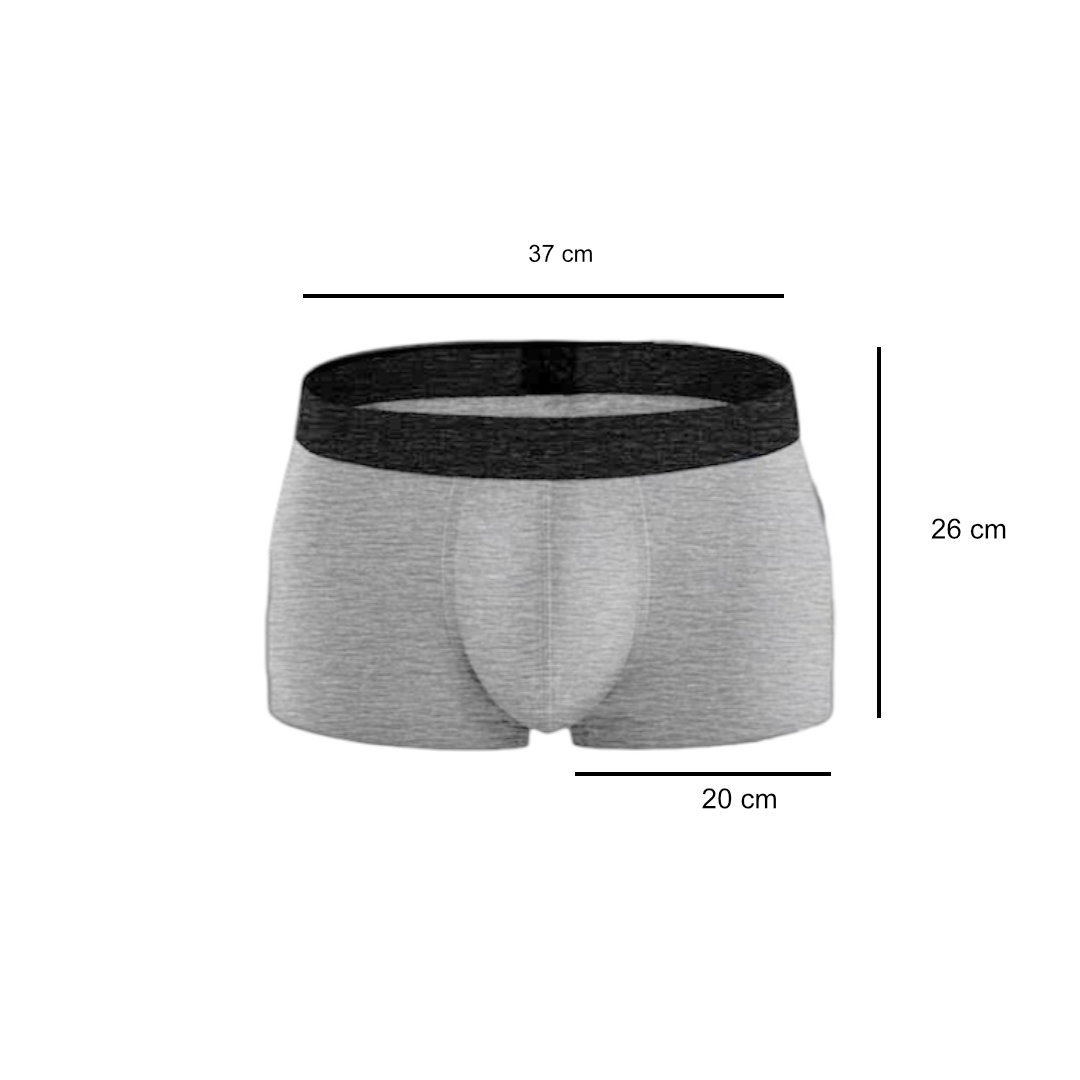 BaiLunLang Celana Dalam Boxer Pria Men Underpants 4 PCS XXXL Model 1 - 0808 Gambar produk BaiLunLang Celana Dalam Boxer Pria Men Underpants 4 PCS XXXL Model 1 - 0808