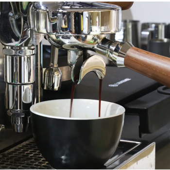 Gambar produk Andralyn Portafilter Double Spout Stainless Steel 58mm Kayu Rosewood - AL304