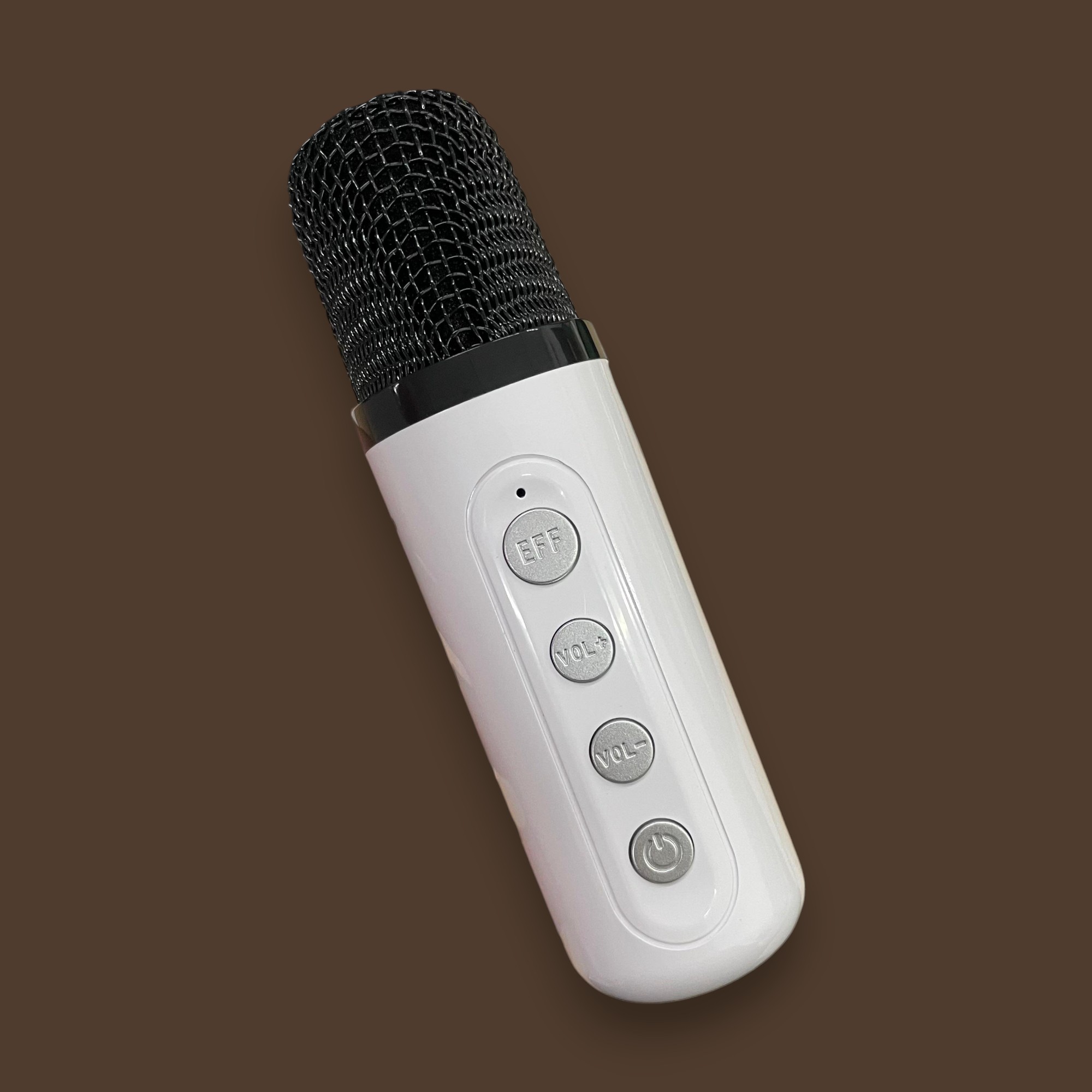 Gambar produk BAFOVY Speaker Bluetooth Karaoke Portable with 2 Microphone 10W - WJ-A826