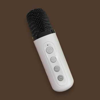 Gambar produk BAFOVY Speaker Bluetooth Karaoke Portable with 2 Microphone 10W - WJ-A826