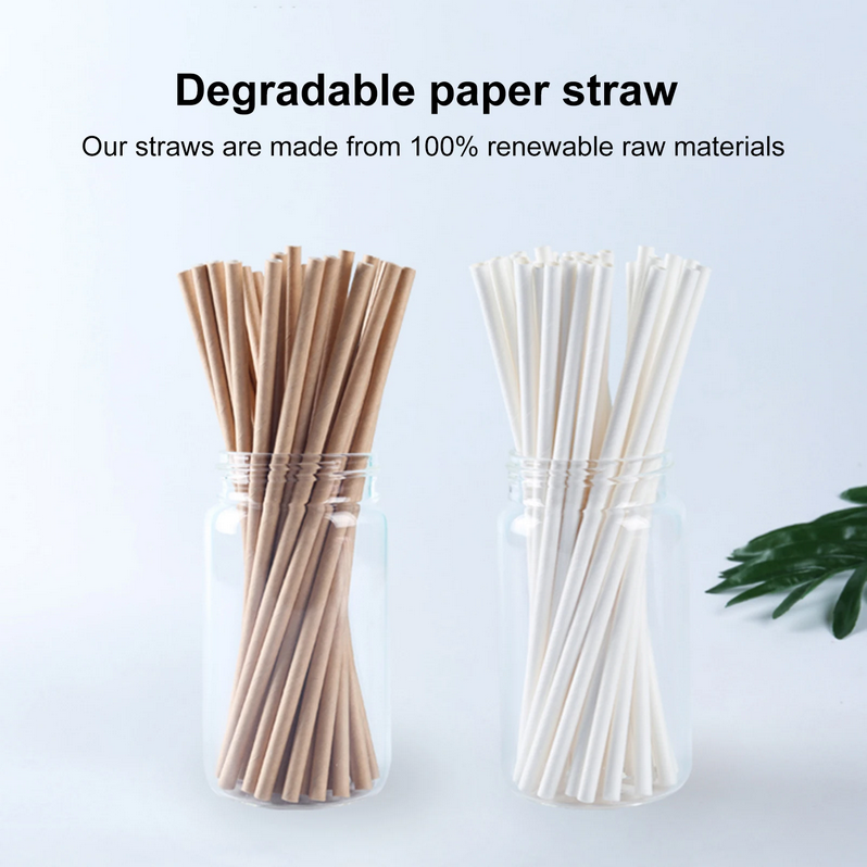 Gambar produk ETRSUNTECH Sedotan Kertas Bungkus Eco Paper Straw 6x197mm 100 PCS - QW95