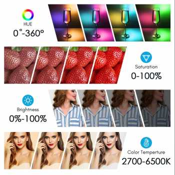 Gambar produk Tolifo Lampu Palm LED RGB Bowens Video Light 2700-6500K 60W - PL-60RGB