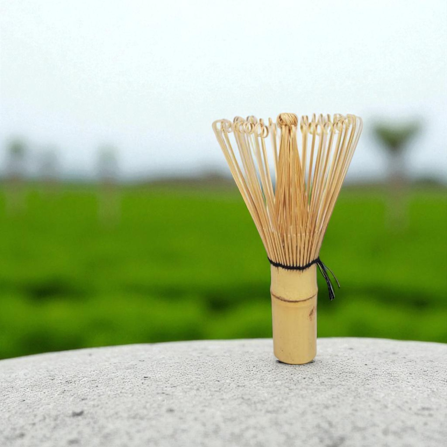Gambar produk Baiben Li Chasen Bamboo Whisk Matcha Pengaduk Teh Jepang 52 Tangkai - B58