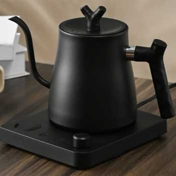 TERATERA Teko Listrik Kopi Pemanas Air Leher Angsa Pour Over 1000W 1L - T100