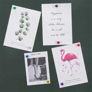 Gambar produk Eustass Magnet Pushpin Refrigerator Acrylic 10 PCS - INU163