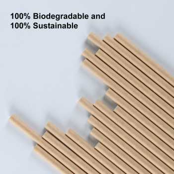 Gambar produk ETRSUNTECH Sedotan Kertas Bungkus Eco Paper Straw 6x197mm 100 PCS - QW95