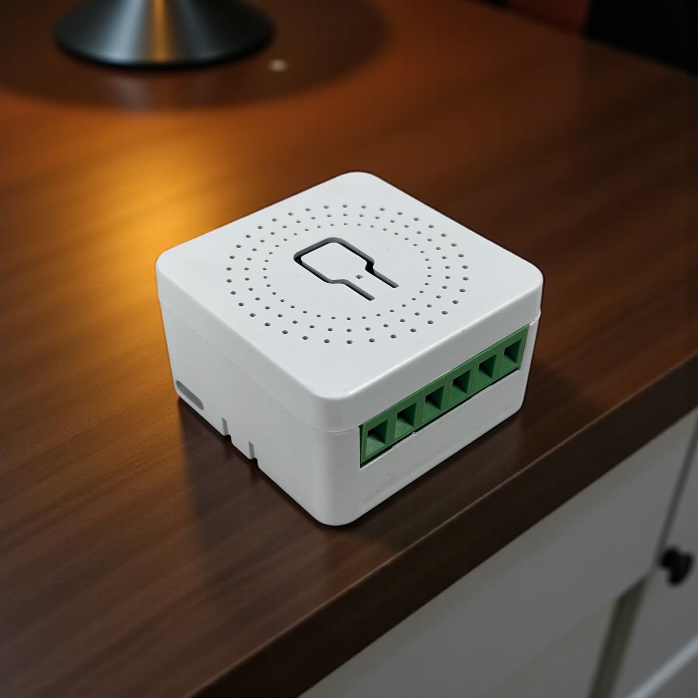 KAIGE Mini Smart Switch ZigBee Tuya 2 Channel Control Module 10A - WHD09-2 Gambar produk KAIGE Mini Smart Switch ZigBee Tuya 2 Channel Control Module 10A - WHD09-2