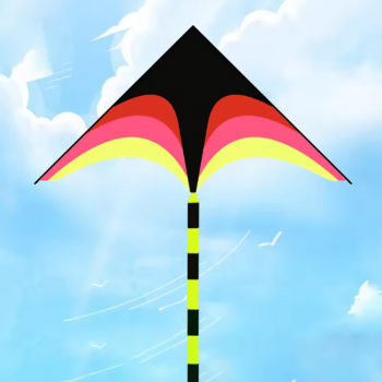 Gambar produk WieKite Mainan Layangan Anak Sport Beach Fly Kite - HYK090