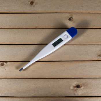 LEGGONG Termometer Digital Tubuh Body Thermometer - LG01
