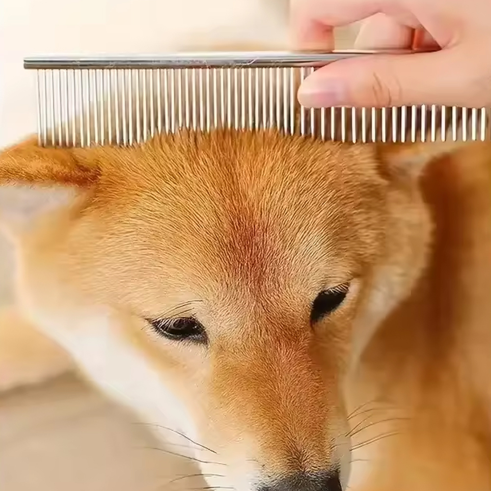 Dtog Set Gunting Grooming Perawatan Bulu Anjing 6in1 - INU73 Gambar produk Dtog Set Gunting Grooming Perawatan Bulu Anjing 6in1 - INU73