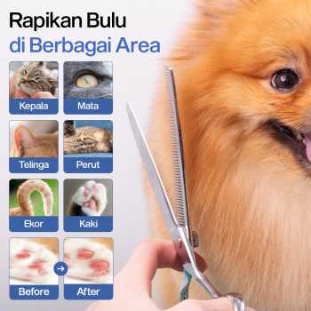 Dtog Set Gunting Grooming Perawatan Bulu Anjing 6in1 - INU73 Gambar produk Dtog Set Gunting Grooming Perawatan Bulu Anjing 6in1 - INU73