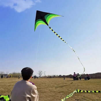 Gambar produk WieKite Mainan Layangan Anak Sport Beach Fly Kite - HYK090
