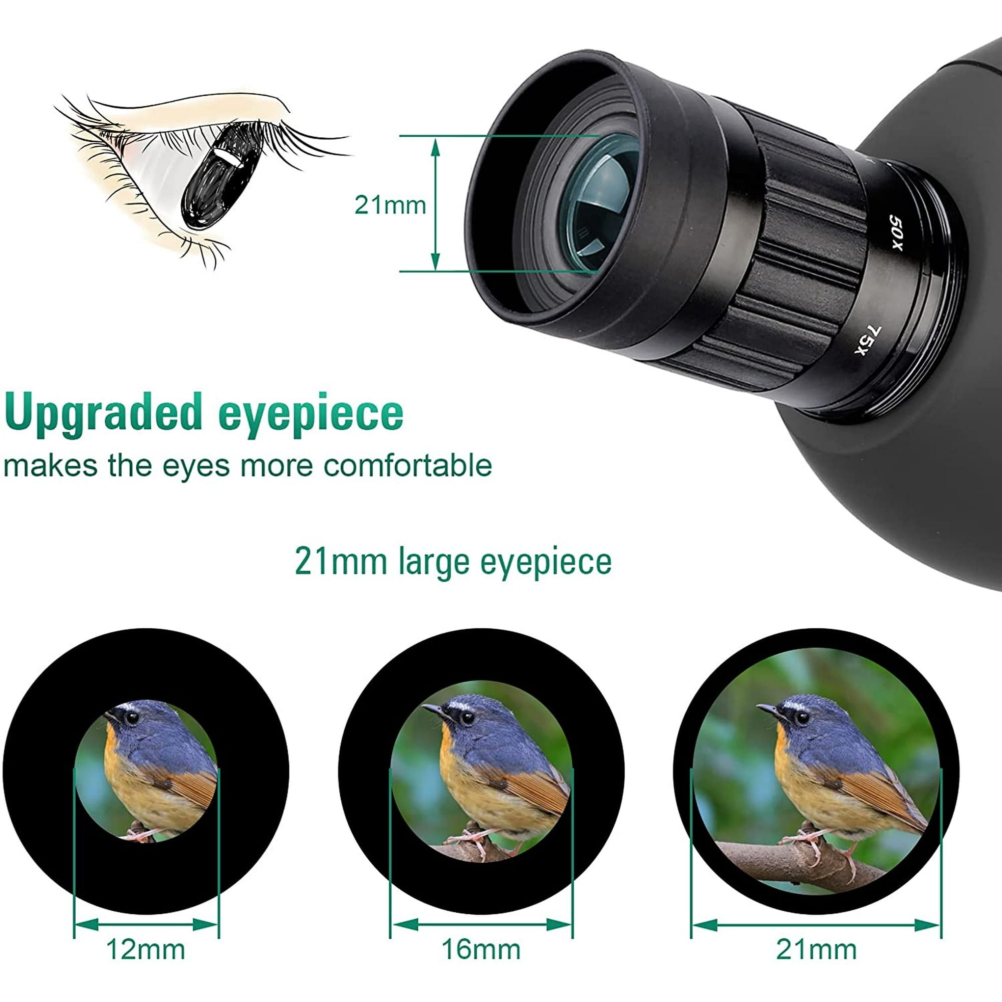 SVBONY Teleskop Spotting Scope 25-75X 70mm for Birding Photography - SV28 Gambar produk SVBONY Teleskop Spotting Scope 25-75X 70mm for Birding Photography - SV28