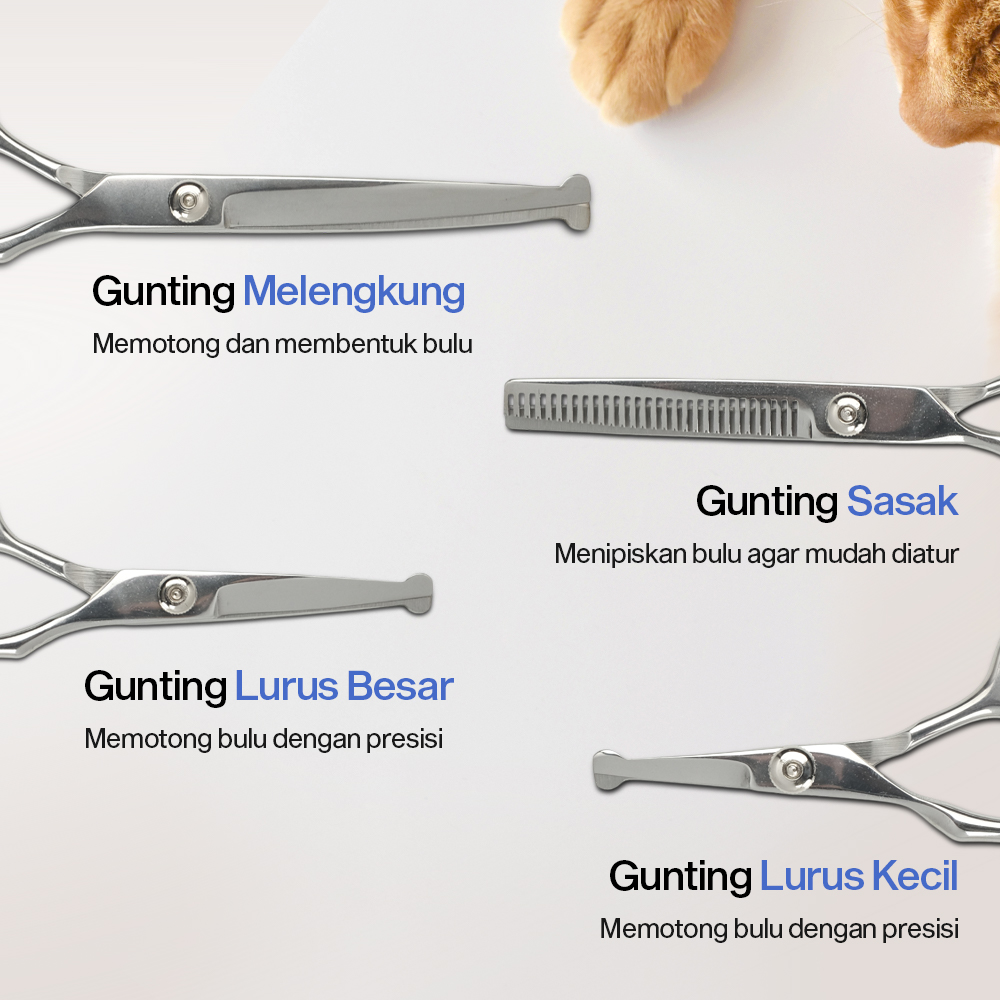 Dtog Set Gunting Grooming Perawatan Bulu Anjing 6in1 - INU73 Gambar produk Dtog Set Gunting Grooming Perawatan Bulu Anjing 6in1 - INU73