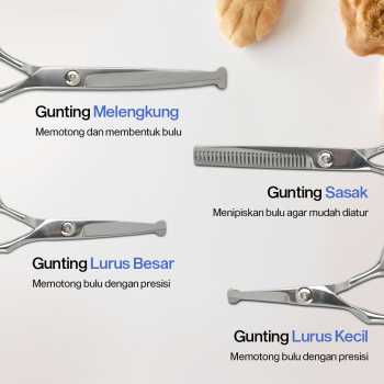 Dtog Set Gunting Grooming Perawatan Bulu Anjing 6in1 - INU73 Gambar produk Dtog Set Gunting Grooming Perawatan Bulu Anjing 6in1 - INU73
