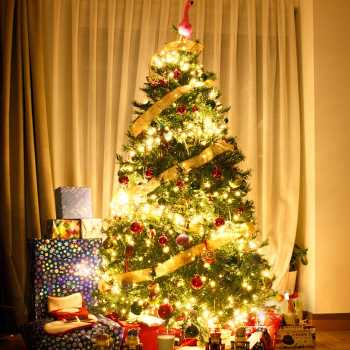 Gambar produk Leclstar Lampu Hias String Lights Dekorasi Taman Solar 12M 100LED - S-04