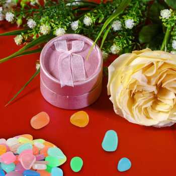 Gambar produk Imos Batu Hias Dekorasi Glow in The Dark Garden Stone 100 PCS - HC0043