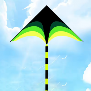 WieKite Mainan Layangan Anak Sport Beach Fly Kite - HYK090