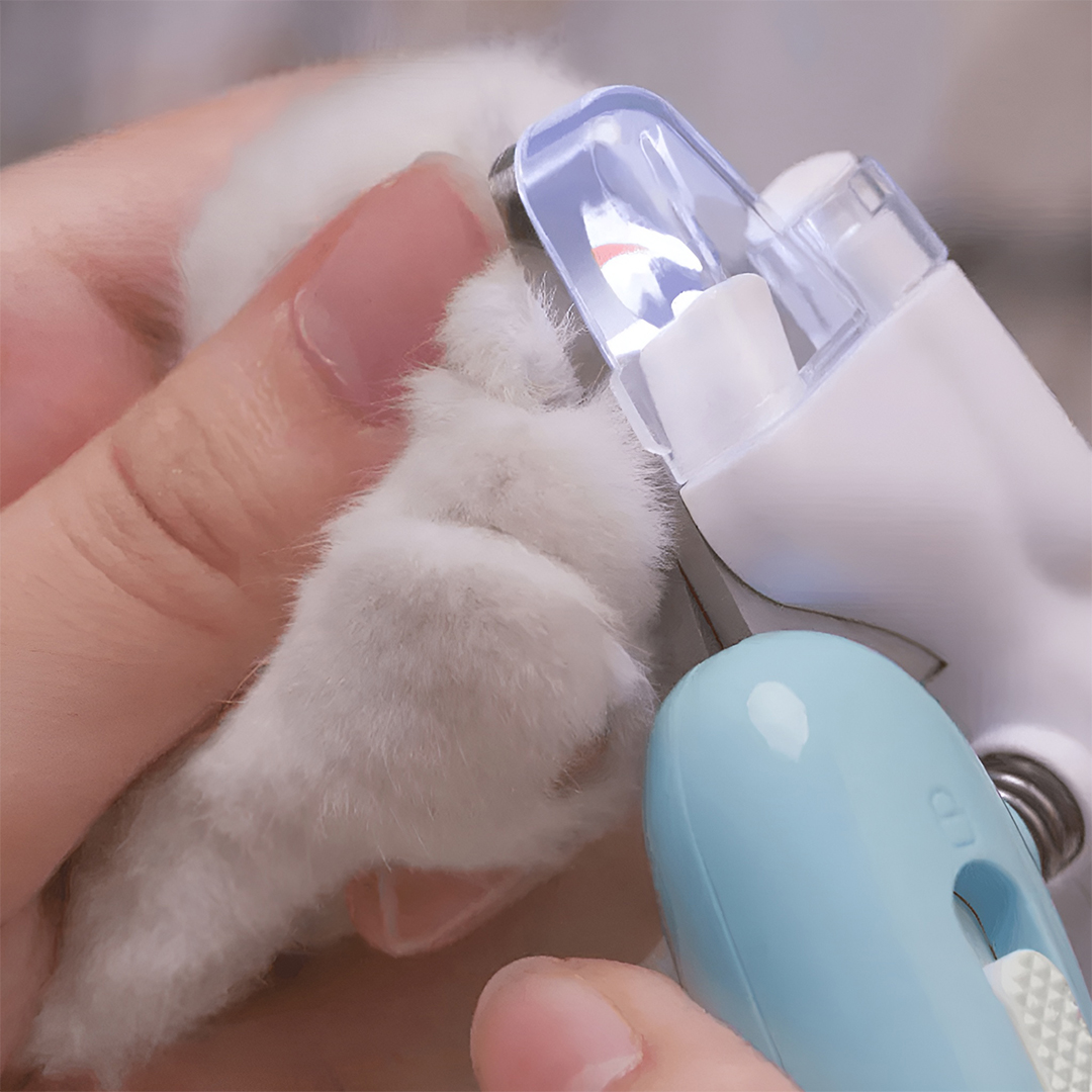 YIYUEQIANLI Pemotong Kuku Hewan Pet Dog Cat Nail Clipper LED - YIY001 Gambar produk YIYUEQIANLI Pemotong Kuku Hewan Pet Dog Cat Nail Clipper LED - YIY001
