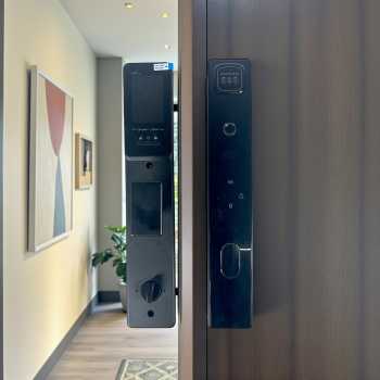 JYS Smart Door Lock Fingerprint Face Recognition Password Dingdong App - B01RL-TC