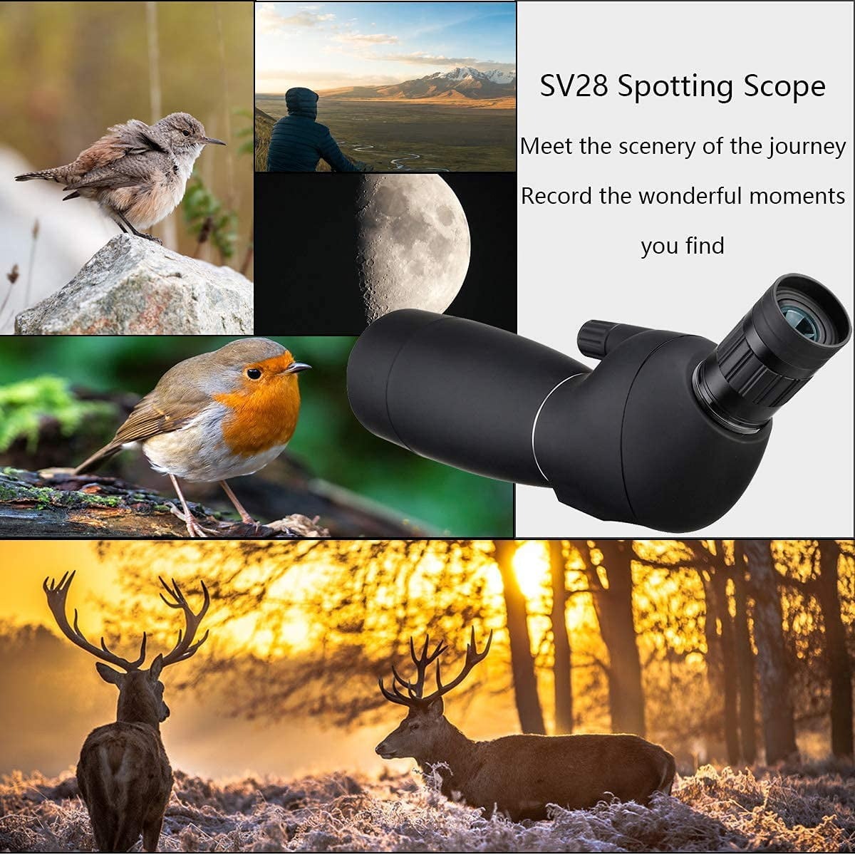 SVBONY Teleskop Spotting Scope 25-75X 70mm for Birding Photography - SV28 Gambar produk SVBONY Teleskop Spotting Scope 25-75X 70mm for Birding Photography - SV28