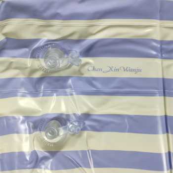 Gambar produk Chen Xin Wanju Pelampung Lengan Anak Inflatable Arm Band Rolls Up - INU165