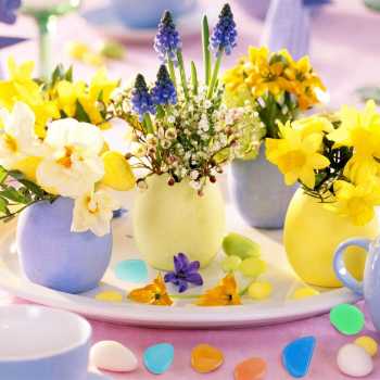 Gambar produk Imos Batu Hias Dekorasi Glow in The Dark Garden Stone 100 PCS - HC0043