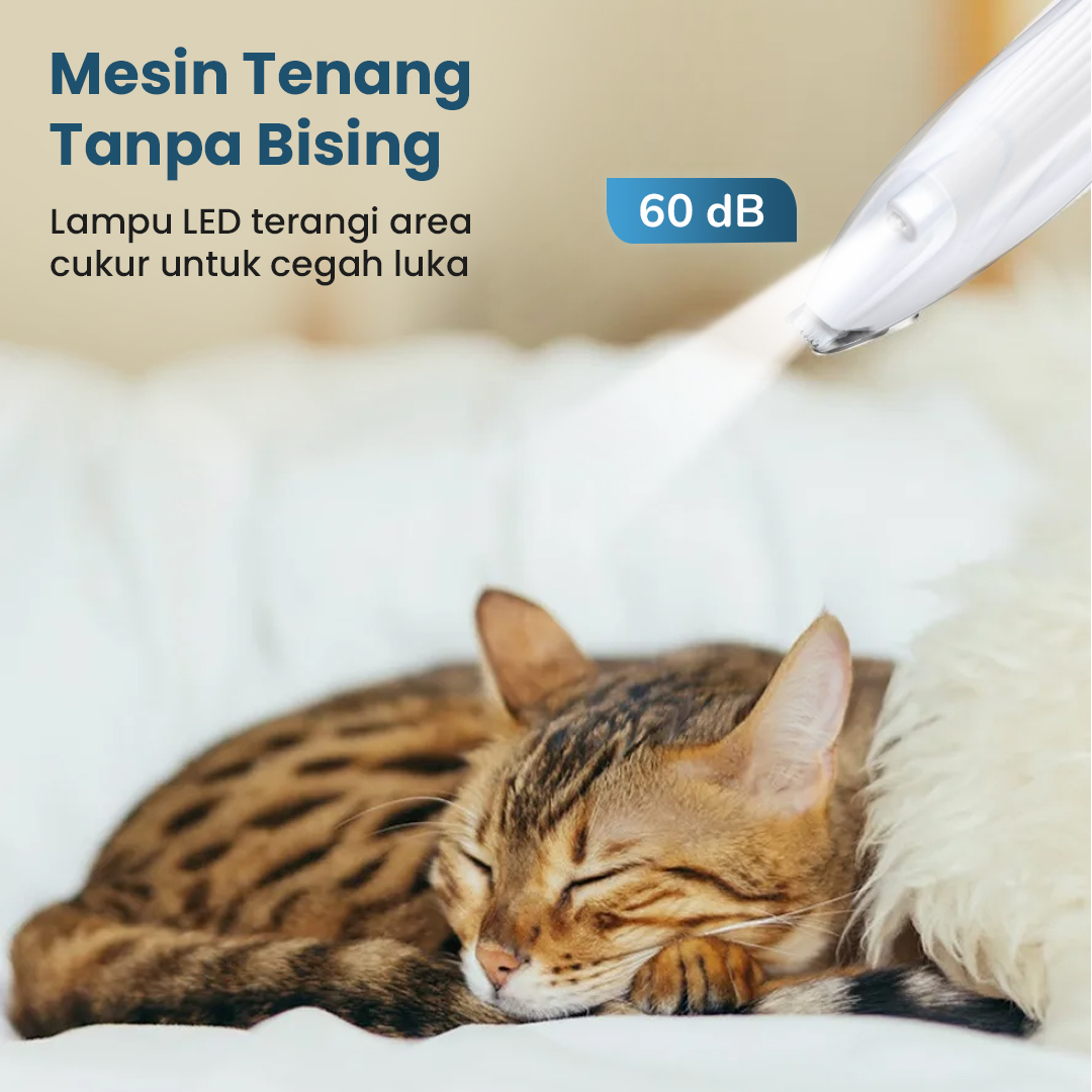 HWY Alat Cukur Bulu Kaki Hewan Elektrik Shaving Trimmer Pet 400mAh - H-400 Gambar produk HWY Alat Cukur Bulu Kaki Hewan Elektrik Shaving Trimmer Pet 400mAh - H-400