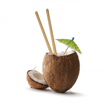 Gambar produk ALO Sedotan Kertas 3 Lapis Disposable Paper Straws 10x197mm 100 PCS - A10