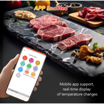 Gambar produk Temprobe Termometer Makanan Daging Digital Wireless Bluetooth 1 Probe - DT-131