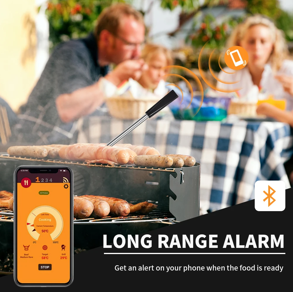 TAKA Termometer Makanan Digital Daging BBQ Grill 2 Probe Rechargeable - TY520 Gambar produk TAKA Termometer Makanan Digital Daging BBQ Grill 2 Probe Rechargeable - TY520