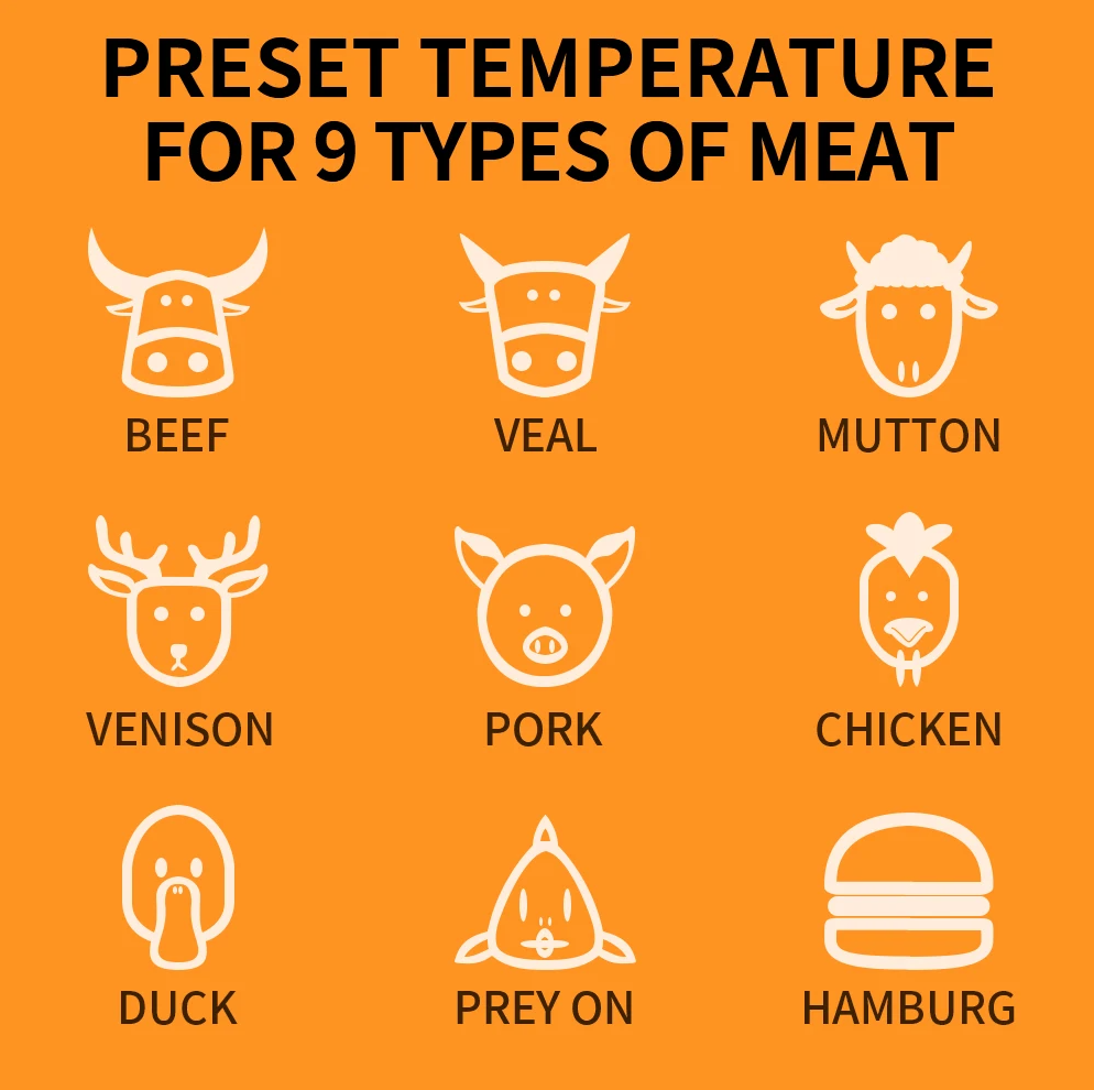 TAKA Termometer Makanan Digital Daging BBQ Grill 2 Probe Rechargeable - TY520 Gambar produk TAKA Termometer Makanan Digital Daging BBQ Grill 2 Probe Rechargeable - TY520