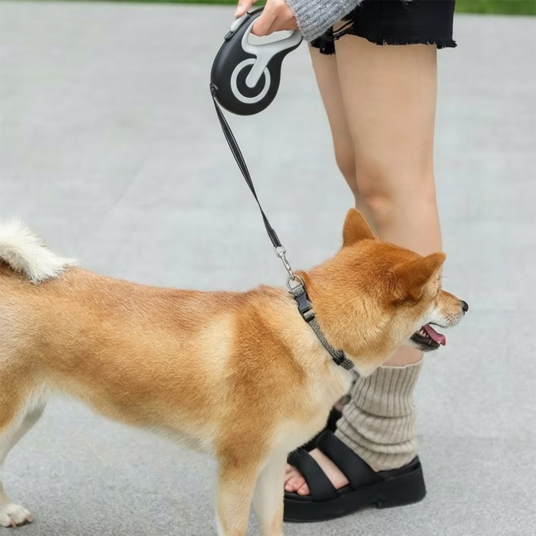 Gambar produk ROPET Tali Tuntun Hewan Anjing Automatic Retractable Dog Leash 3M - RP014