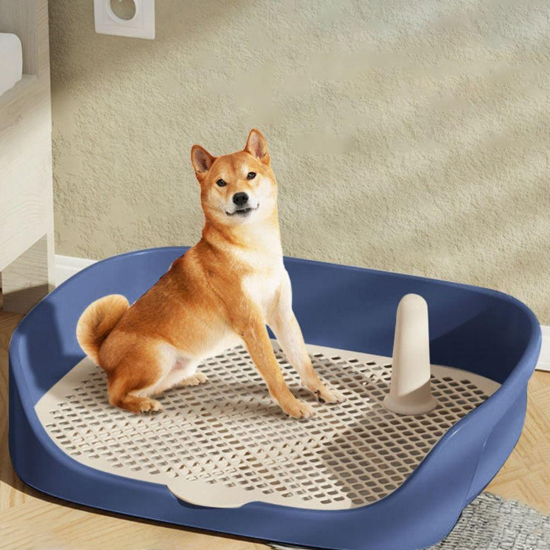 Baoblaze Tempat Pipis Anjing Kucing Pet Training Potty Tray Detachable - BB-40 Gambar produk Baoblaze Tempat Pipis Anjing Kucing Pet Training Potty Tray Detachable - BB-40