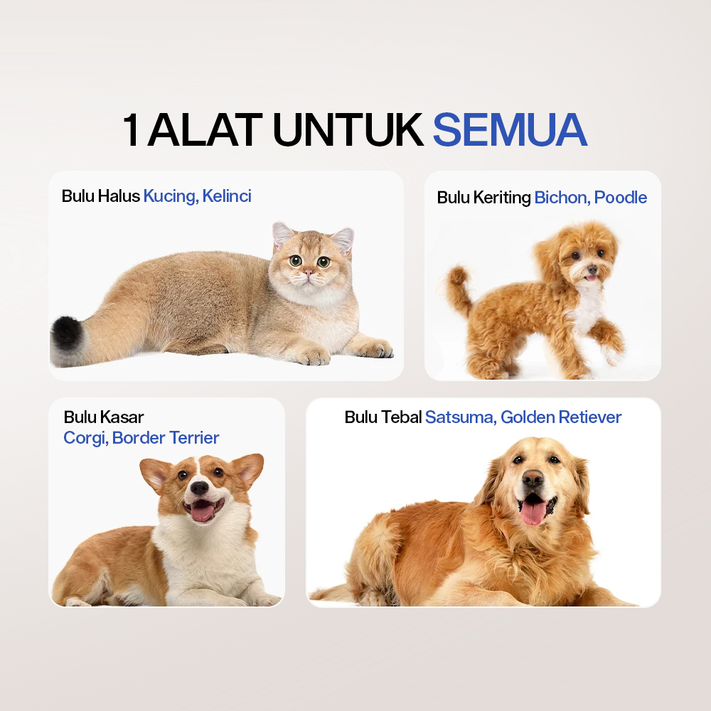 Gambar produk Besmal Set Gunting Grooming Perawatan Bulu Anjing 5in1 - 4CR