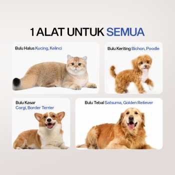 Gambar produk Besmal Set Gunting Grooming Perawatan Bulu Anjing 5in1 - 4CR
