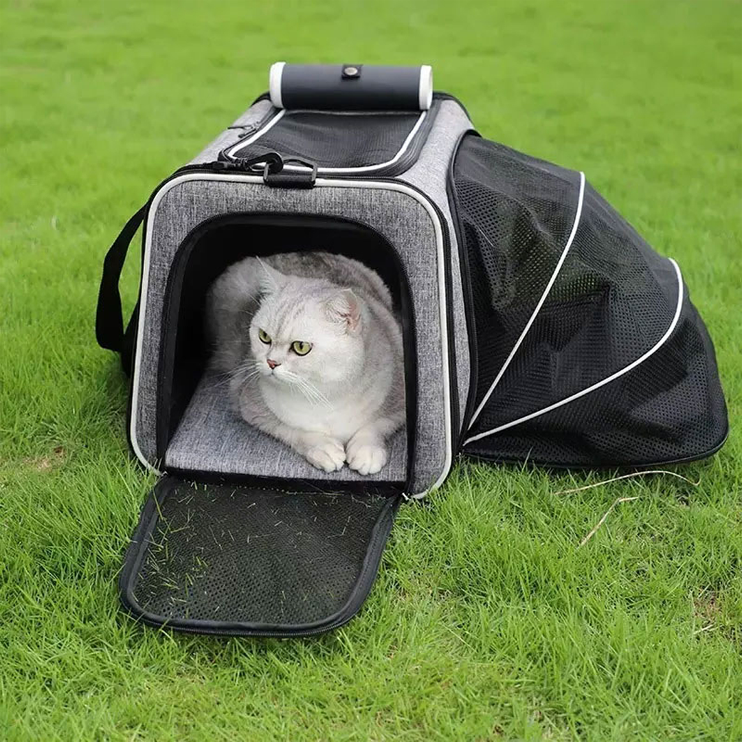 MEISU Tas Kandang Anjing Kucing Expandable Pet Carrier Bag 47x30x31cm - MS45 Gambar produk MEISU Tas Kandang Anjing Kucing Expandable Pet Carrier Bag 47x30x31cm - MS45