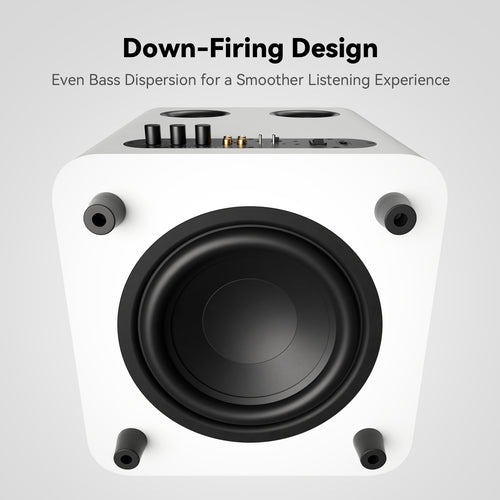 Gambar produk Fosi Audio Active Speaker Subwoofer HiFi 10 Inch Driver Smart DSP 500W - SW10