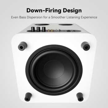 Gambar produk Fosi Audio Active Speaker Subwoofer HiFi 10 Inch Driver Smart DSP 500W - SW10