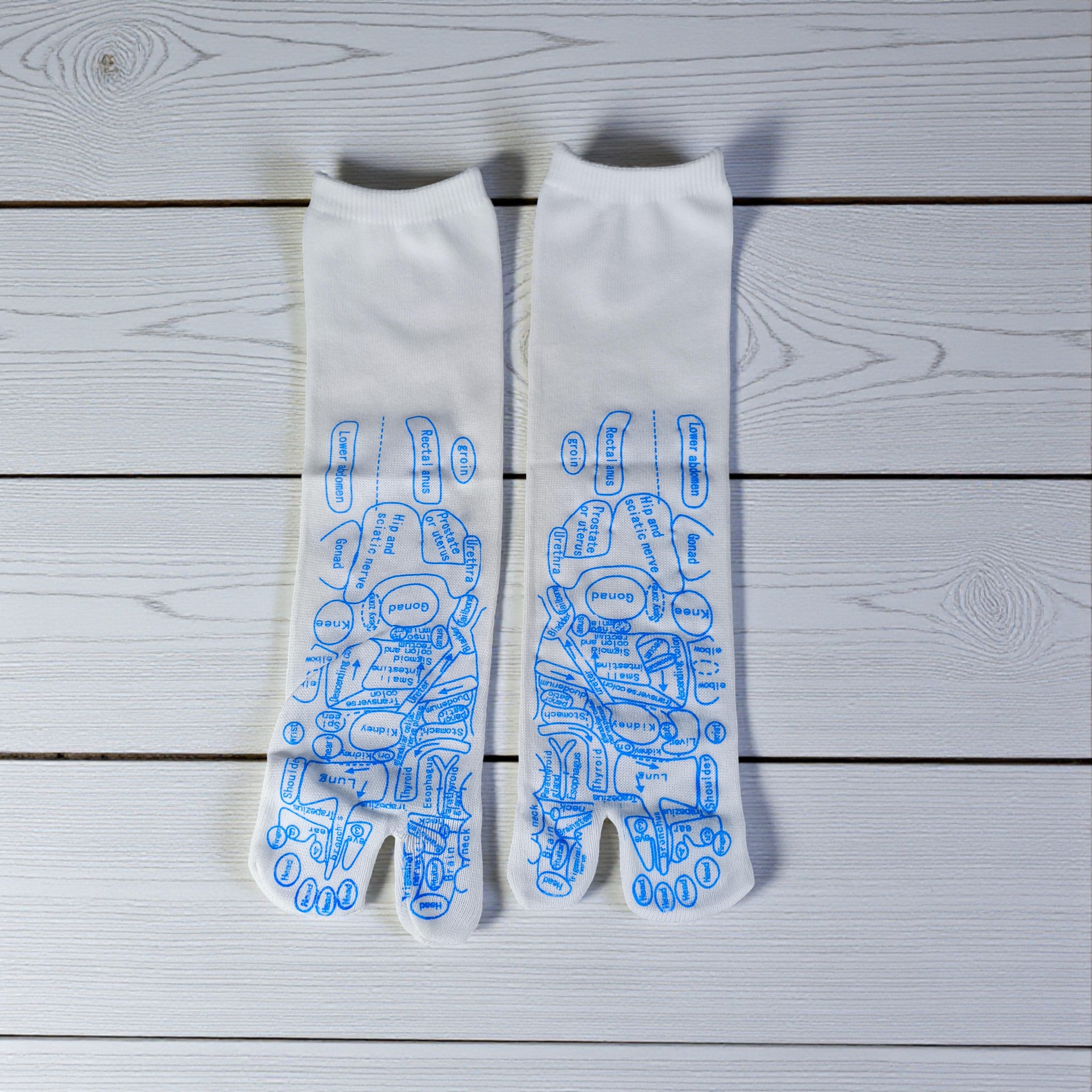 Gambar produk UG Kaos Kaki Pijat Seratus Titik Akupuntur Plantar Meridian Socks Pria - UKK3