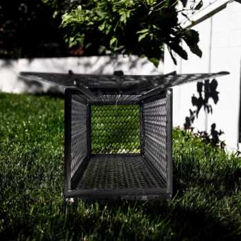 Gambar produk BAIT Jebakan Tikus Kandang Besi Automatic Mousetrap 27.5x14.5x14.5cm - B-23