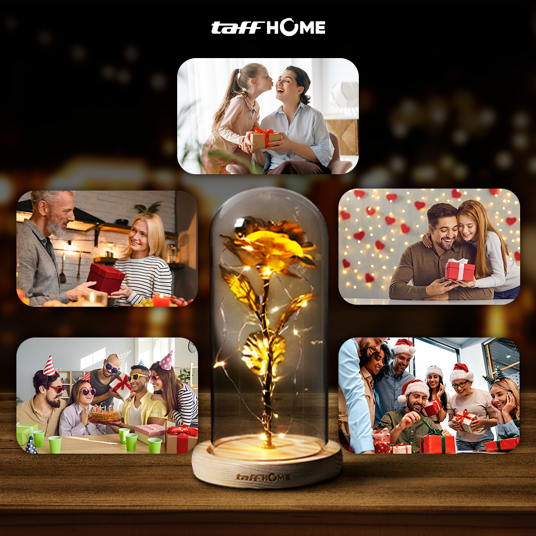 TaffHOME Lampu Meja Hias LED Mawar Beauty and The Beast Warm White - AC01 Gambar produk TaffHOME Lampu Meja Hias LED Mawar Beauty and The Beast Warm White - AC01